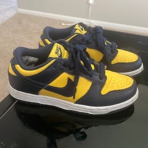 Michigan Dunks